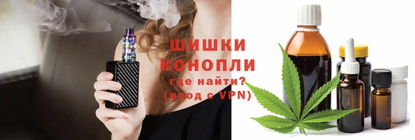ПСИЛОЦИБИНОВЫЕ ГРИБЫ Кострома