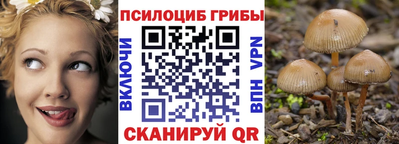 где найти   кракен вход  Галлюциногенные грибы MAGIC MUSHROOMS  Омутнинск 